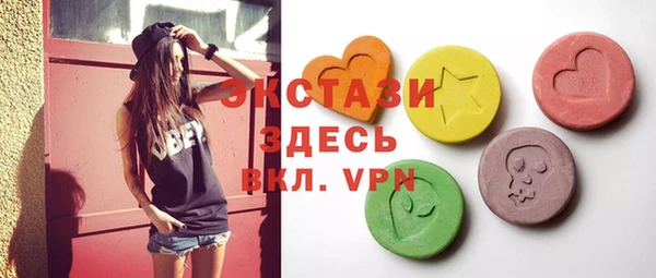 индика Козельск