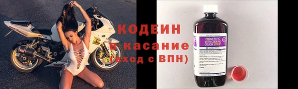 индика Козельск