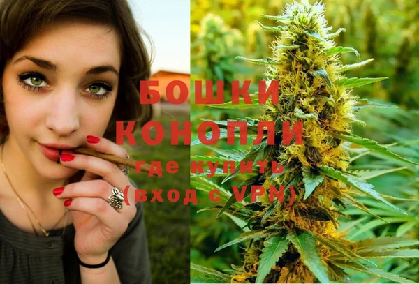 гашик Кинешма