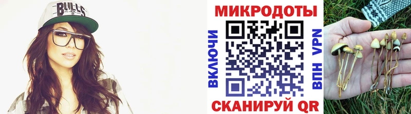 Псилоцибиновые грибы GOLDEN TEACHER  Нижнекамск 