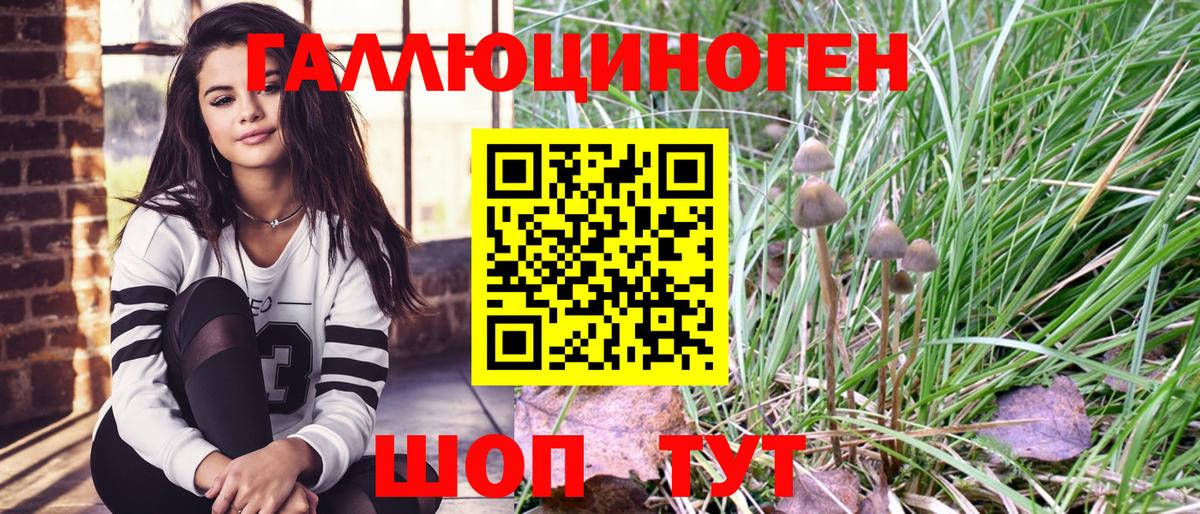 Нижнекамск  Псилоцибиновые грибы GOLDEN TEACHER  Вход с VPN 